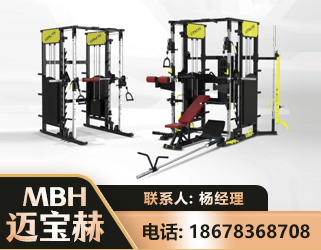 河池多功能综合训练器