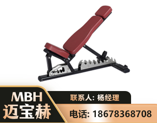 河池可调哑铃椅