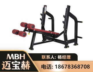 河池豪华下斜卧推架