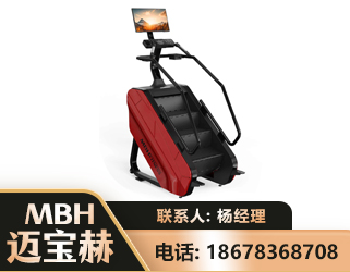 河池商用楼梯机