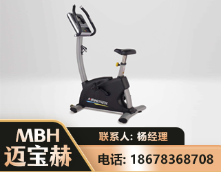河池立式健身车